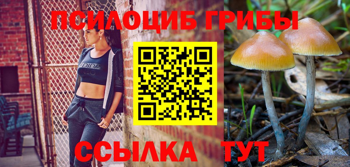 Галлюциногенные грибы Psilocybe  Вход с VPN  купить наркоту  Холмск 